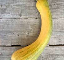 Courge de Nice 500g