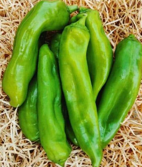 Poivrons  600g