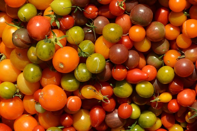 Tomates cerises