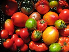 Plateau de tomates (variétés anciennes) 3 Kg