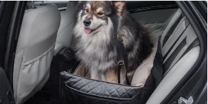 Option Poils de chien ou sable Cl.C