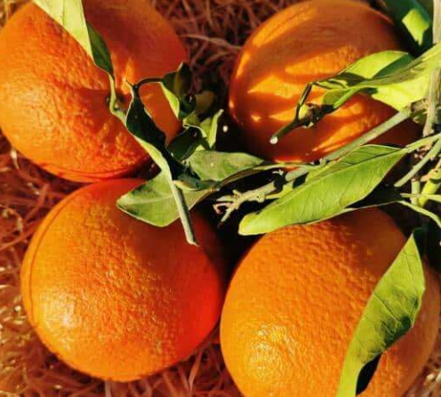 Oranges feuilles 1 Kg