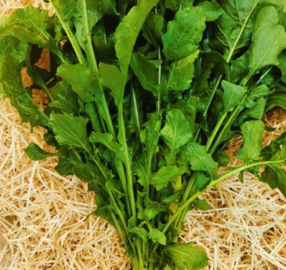 Roquette bouquet