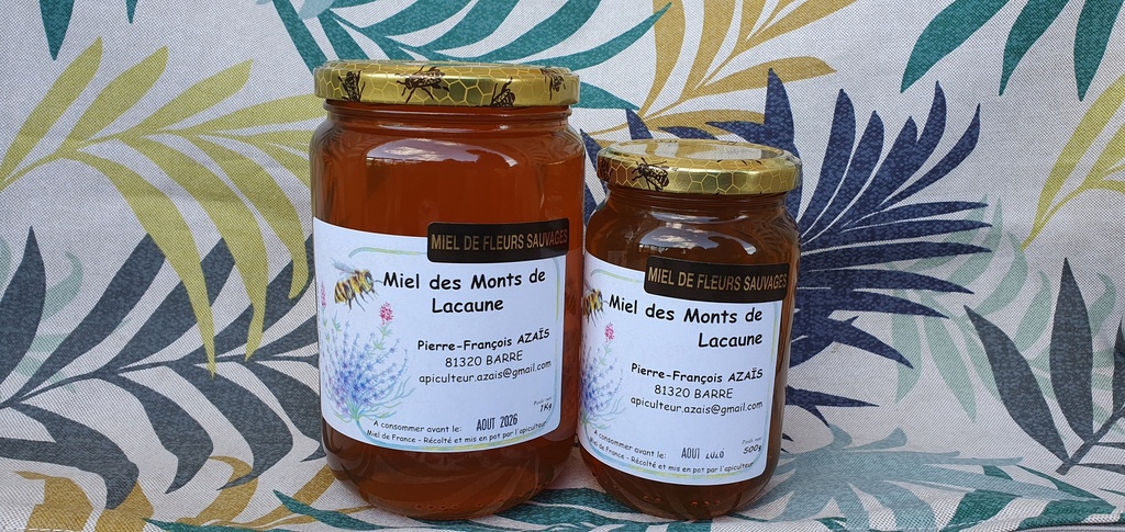 Miel de Toulouse 250g