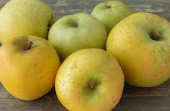 Pomme chanteclerc 5 Kg