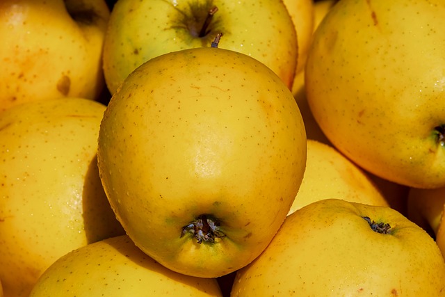 Sac pomme golden 5 Kg