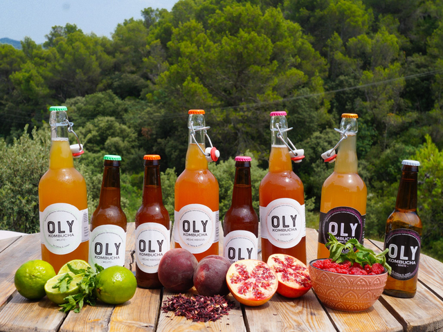 12 bouteilles 33cl (recettes panachées)