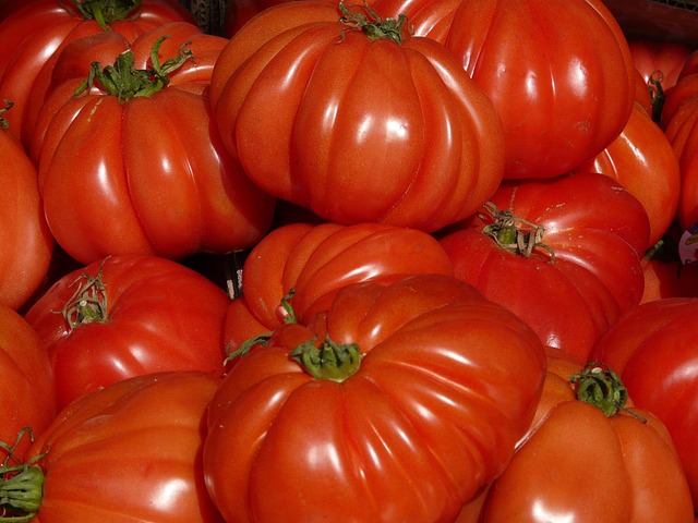 5 Kg tomate coeur de boeuf