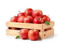 Pommes INOBI la caisse de 5kg