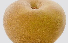 Pommes Canada 500g