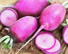 Radis Daikon/violet Kg