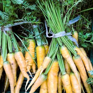 Carottes jaunes en botte