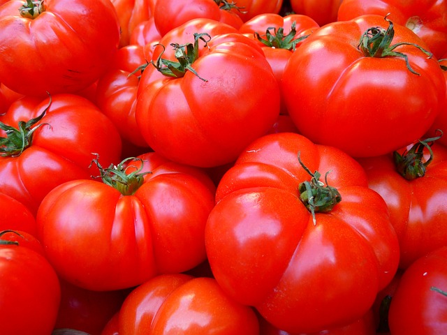 Tomate ancienne