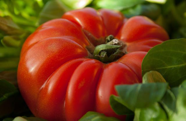 Tomate