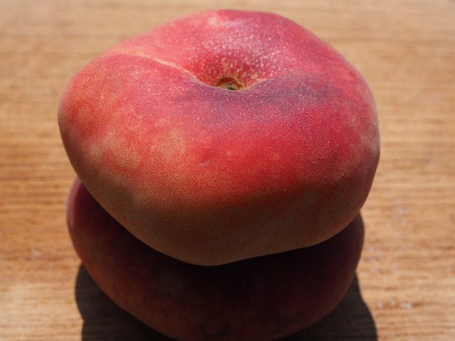 Pêche plate