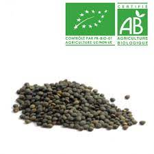 Lentilles verte du Puy 500g