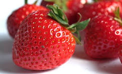 Fraise la barquette de 500g